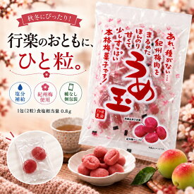 ≪ポイント5倍＆10%OFFクーポン 9/19 20:00〜9/24 1:59≫千年屋 味楽乃里 うめ玉 紀州梅菓子 個包装 2袋セット 6袋セット 12袋セット 種なし 行楽 紅葉 ハイキング お茶請け ごはんのお供 常備 秋ギフト お彼岸 梅おやつ 梅加工菓子 和歌山県産梅 大容量 送料無料 プレゼント