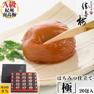 ݂͂dāuɁv20 ~  썂~ a̎R  E 傤΂  Mtg  䈥A Ԃ @v 䋟 ~ Ε 