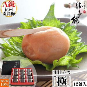 ÎdāuɁv12 ~  썂~ a̎R  E 傤΂  Mtg  䈥A Ԃ @v 䋟 ~ Ε 