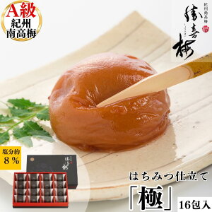 16i݂͂d ~  썂~ a̎R ~ 傤΂  E  Mtg  䈥A Ԃ @v 䋟 Ε @N