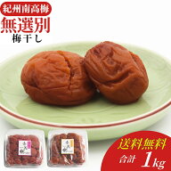 【訳ありでも味は本物】梅干し 訳あり 紀州南高梅 無選別 樽底梅アソート 500g 2個セット＜はちみつ仕立…