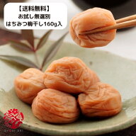【送料無料 訳ありでも味は本物】梅干し 訳あり 紀州南高梅 お試し無選別はちみつ梅干し160g入 1,000円ポ…