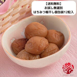 yzIʂ݂͂~121,000~|bL@@IB썂~@󂠂@@@~@D~@傤΂@VELoC@a̎R@Е