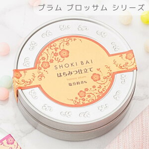 v ubTy݂͂dāzi120gjv`Mtg  o  䈥A Ԃ  킢 v[g yY