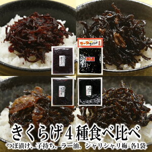 4킫炰Zbg  ڒЂ炰 q炰 [炰 VV~炰 炰V[Y т̂ 炰 ώ  ɂ