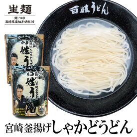 宮崎 釜揚げ しゃかどうどん 百姓うどん 送料無料 釜揚げうどん お取り寄せ グルメ 生めん ギフト プレゼント 贈り物 九州 宮崎 つゆ お土産 うどん麺 出汁 ストレート 御中元 御歳暮 食べ物