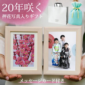 梅 赤八重咲1 (花言葉：気品・上品・独立)■プリザーブドフラワー 写真入り❖写真 母の日 ギフト 名前入りブリザードフラワ- お祝い メッセージ プリザードフラワ-◆玄関飾り ミニ 縁起飾り 賀寿のお祝い 冬ギフト 和 ご長寿 慶寿 贈り物 写真入り メッセージ 枯れない花 高級