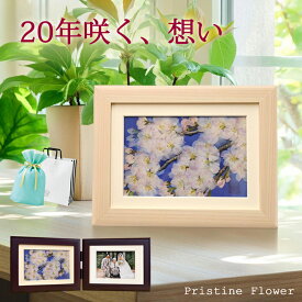 100歳のお祝い■文字 額 85歳 プレゼント 卒寿プレゼント 百歳お祝い85歳母 誕生日 電報 百寿 | 白寿祝い 100歳 お祝い 卒寿 プレゼント の 白寿 祝い プリザーブドフラワー 百歳 百 白 卒 寿 90 歳 女性 祖母 母 歳 花 誕生日プレゼント 会社 百歳お祝い 卒寿祝い 90 代