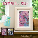 お見舞い 入院 祖母 誕生日 母親 10周年 お祝い プレゼント■70歳 誕生日プレゼント 90代◆押し花 母70代 77歳 女性 50代 70代 80代 91歳 100歳 90歳 卒寿 花 古希 50歳 70代女性 80歳 傘寿 プリザ 白寿 八重 百寿 祝い 結婚記念日 桜 梅 女友達 退職祝い 開店祝い 写真立て