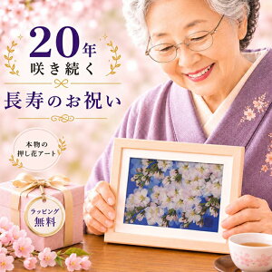 20�΂̂��j�� 65�΃v���[���g �a���� 20�� �a�����v���[���g?�u���U�[�h�t����- ���~ ��\?�����畨 20���N�j�� 20�΂̒a���� �v���[���g ��10 �� ���q �� ��� �v���[���g �e���� 19�΂̒a�����v