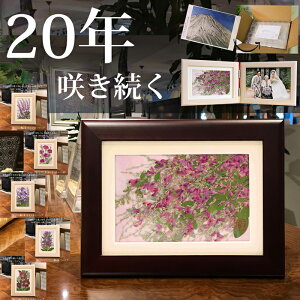 wƍ炭B̑zx (ԌtF_炩ȐS)  jd 灚uU[h t[  a v[g  A[g Mtg tHgt[ ԃA[g Ԋz uU[h