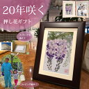 ドライフラワー 壁掛け ブリザードフラワ- お祝い プリザーブドフラワー 米寿 結婚式 家族プリザーブドフラワー白寿 女性 70 代ペット お悔やみ 贈り物 フォトフレーム 遺影 傘寿 傘寿のプレゼント 動物 ブリザードフラワー 卒寿 お祝い花 額 花