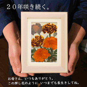  ΂  80 v[g Mtg|V~ | 蕨  ʐ^2l 2 eʐ^ 49 tHgt[ 2le 3 ~ 䋟   