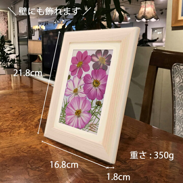楽天市場】コスモス(花言葉：愛・調和・謙虚) □92 歳 お祝い 