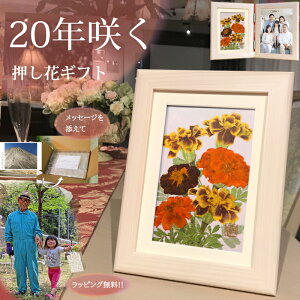 36z ԃA[g |  z i ̔ e ʐ^ 2 ~ V~ 2l  uU[h ~  蕨 uU[ht-  dpvU[uht[ 