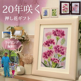 アフターブーケ 押し花 92 歳 お祝い 90 の プレゼント 85 ❖誕生日プレゼント 90歳 ドライフラワー お祝い 贈り物 成人祝い フォトフレーム 結婚記念日 10周年 写真立て90 歳 コスモス 花 写真 女性 が 喜ぶ プレゼント 花付き写真立て花付き写真立て90歳 30代 嫁 (3)◆
