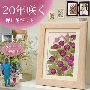 A[gt[vU[uht[|ԃA[g c v[g z A[g Mtg vU[uht[ z G Ǌ| a  Ԃ̊G av[g Ǌ| ԁ@  j j