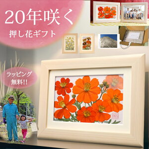 vU[uht[ z ސEj j  Ǌ| ԃA[g Ǌ|vU[uht[ NސEv[g  ʐ^ S j v[g Sj  AWg 