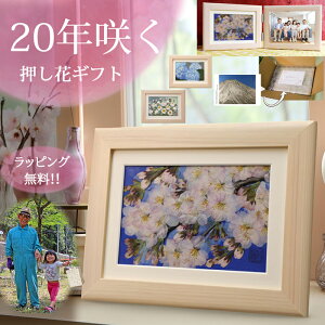 ͂Ȃ hana  ǂ (ԌtF)@J@ 10 N 1 j X^bt  ԃbZ[W ͂Ȃ  v[g a  u  [h t[   [uht[ 