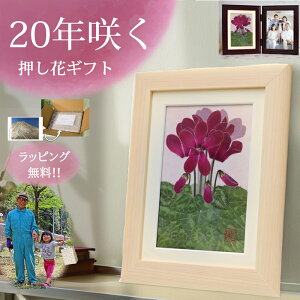 �V�N�������Ԏ�1(�Ԍ��t�F�J�E����)������j�� ���� ��� �v���[���g 77�� �Ê� ���j�� ���� �Ê�j�� �� 70�� �a�����v���[���g �Ê�j�� ������ 85 �� �`�� 70�� ���ꂳ�� �� 90�� �����̂��j��