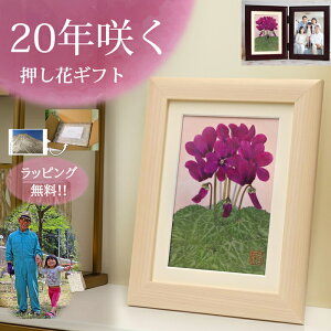 VN (ԌtFJE) Êj v[g  77΂̂j  Ê j  j  jv[g j 77 70 ꂳ av[g 70Βav