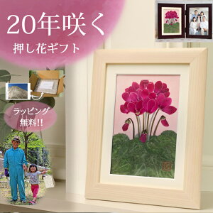 VNԎ2(ԌtFJE)10N j v[g 77 ΂̂j 92  j    v[g80ドLO NX}XMtg20΂̖ NX}Xv[