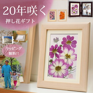 uU[ht- P|Ԃ̃A[g 80 j P 85   蕨  tHgt[ 2l j  a 70       e t[ 70  Ê F v