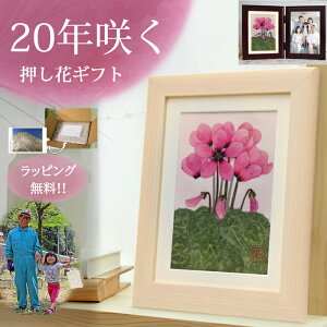 VN ݃sN(ԌtFJE)90   j  j tHgt[ NX}Xt[AWg z JXj ԈȊO   v[g 100 J