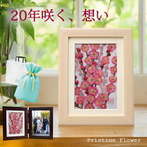 楽天市場】押し花アート 額の通販