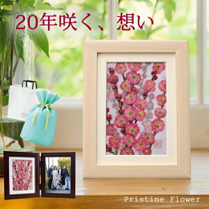 �c�� �v���[���g 90��?�Ď����j�� �a�����v���[���g 80�た�� �Ď� ���j�� �Ď��j�� �j�� �Ď��̂��j�� �a���� 70�� ���� 70�� 90 �� �Ê�j�� ���� ��e 60�� 80�� �Ê� 100�� 60�� �S�� ����