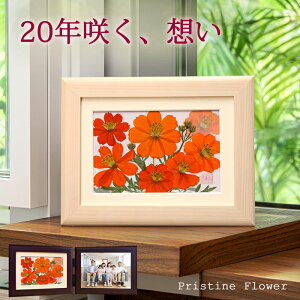 フラワー 額縁 アート」の人気商品一覧 | 安い商品を通販サイトから 