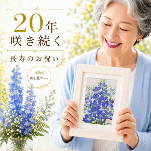 20�΂̂��j��?20�� ���j�� �v���[���g20�΂̒a���� �v���[���g �� �a�����v���[���g ����50��@10 �� ���q �� ��� �v���[���g ���� 50�� ��\�΂̃v���[���g ���q 30�� �� �a���� 50�� ���j�� ��