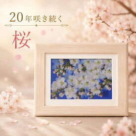 桜(横)ソメイヨシノ(花言葉：心の美しさ) ■桜 押し花 サクラ 押し花❖フラワーアート キット ブリザードフラワー 名入れ 誕生 日 プレゼント 63 歳 母 初盆 贈物 初盆お供え ブリザード 2l判 フォトフレーム 桜のプレゼント100歳お祝い プレゼント 80 歳 入院中 102歳 (1)◆