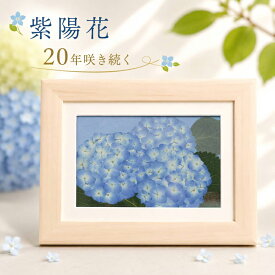 プリザーブドフラワー 花婚式◆定年退職祝 男性 お花 高齢者 誕生日プレゼント 喜寿祝い 77歳 母 アフターブーケ 押し花 母親 誕生日 プレゼント 卒寿 古希 お祝い 女性 喜寿 定年退職プレゼント 101歳 10周年 85歳 90歳 傘寿 祝い 100歳 70代の退職祝 80代 ブリザード