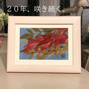 P Pj 80  j v[g  80 v[g av[g   ʐ^ tHgt[ ʐ^  z j 80΂j 90    80΂̂j 80Βa 80΂j