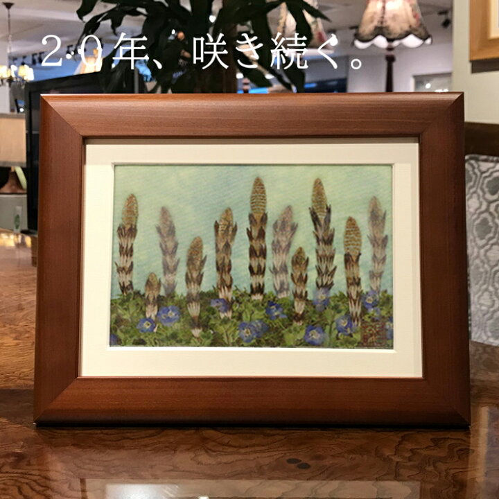 楽天市場 年咲き続く 驚き押し花 押し花額 押し花アート 押し花 額 作品 販売 押し花アートギフト庄村昌子の世界