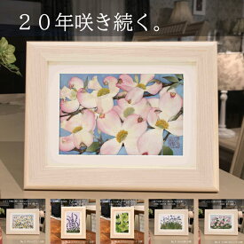 ＼20年咲き続く押し花／ 押し花アート 祖母 プレゼント 額 アート ギフト プリザーブドフラワー 額縁 絵 壁掛け 誕生日 母 花の絵 誕生日プレゼント 壁掛け 花　 女性 お祝い 祝い 母親 古希 70歳 退職祝い 80歳 傘寿 卒寿 米寿 90 歳 88歳 90歳 傘寿 喜寿 百寿 定年退職