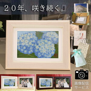 ͂Ȃ hana  [ht d | ~   蕨 V~   蕨 ~ ~ ~ [h  uU[ht[ ͂Ȃ z  Mtg h