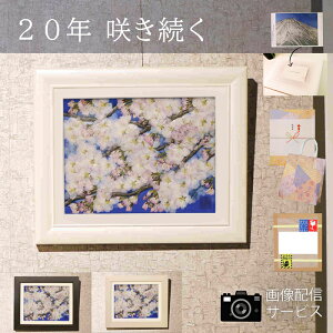 ���� 80��85 �� ���j�� �v���[���g|��N�ސE�v���[���g|�c�� 90�� 90�� ���� 100�� �A�[�g �a���� 90 �� �� �����v���[���g �P�� ���� ����j�� �Ê�j�� �� ������ �t �� 80�� �j�� �A�[�g 100�� 10��