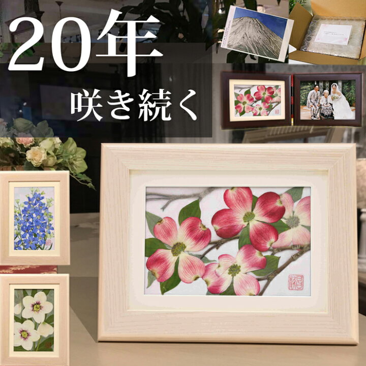 楽天市場】枯れない花 hana 花 ☆絵画 フラワー 誕生 日 プレゼント 絵 