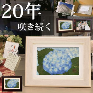 z (ԌtFЂނȈ)25 av[g|vU[uht[ z v[g 70 j   Lbg j j 100 j 101  10NMtg u