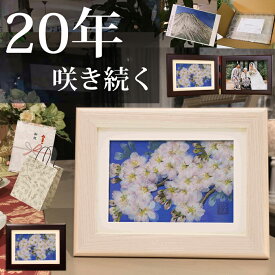 押し花 ★桜(横)ソメイヨシノ(花言葉：心の美しさ)■押し花アート 押花ブーケ 米寿 祝い もらって 嬉しかっ た もの 米寿のお祝い ソープフラワー花婚式 花束 誕生日 祖母 誕生日プレゼント 女性 70歳 母親 祖母 花 写真立て 2面 閉店 贈り物 開院 10 周年 お祝い スタッフ