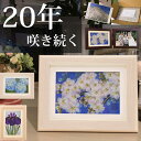 誕プレ 女性 紀寿の祝い 写真付き 花 百寿 祝い 白寿 押し花 アート|古希 お祝い 古希祝い 喜寿 プレゼント 母 70 歳 古希 喜寿祝い 77歳 写真立て 2l お母さん 誕生日プレゼント 花 ばあちゃん誕生日|50歳 70 代 誕生 日 祖母 お誕生日プレゼント ギフト 義母 誕生日 90代