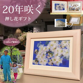 文字 額 85歳 プレゼント 卒寿プレゼント 百歳お祝い85歳母 誕生日 電報 百寿 | 白寿祝い 100歳 お祝い 卒寿 プレゼント の 白寿 祝い プリザーブドフラワー 百歳 百 白 卒 寿 90 歳 女性 祖母 母 歳 花 誕生日プレゼント 会社 百歳お祝い 卒寿祝い 90 代 100歳のお祝い 90歳