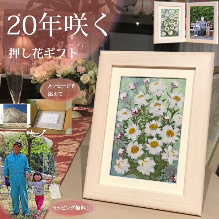 楽天市場】花の額|押し花アート 祖母 プレゼント 額 アート ギフト 