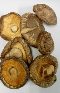 @ؐM(N-50) őijʌ5cm UP@50gi6`7jAȂ̂ŁAg֗