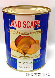 ƖpEYELAND SCAPEEICX^[}bV[iЂ炽ρjEz[E2ʁEe850giŌ`454gjI100-23520