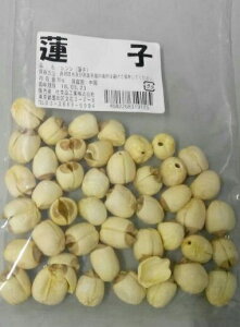 l؊X@@qinX̎jނ@50gIVII