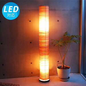 y|Cg5{zA[i(N[) CeAƖ CeA fUCƖ LED AWAƖ ԐڏƖ Ɩ JtF ubN tACg tAX^h R v