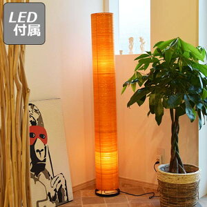 yLEDdtzA[i(IW) CeAƖ CeA fUCƖ fUC AWAƖ ԐڏƖ Ɩ tACg tAX^h R v _ _CjO 